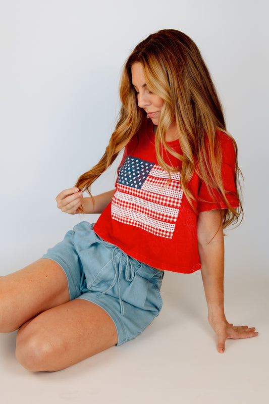 Flag Crop Tee